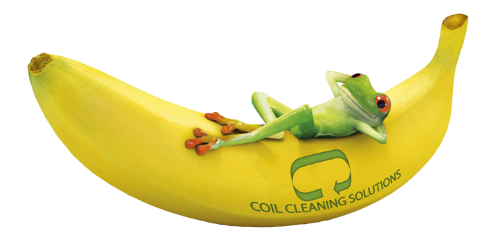banana_room_small